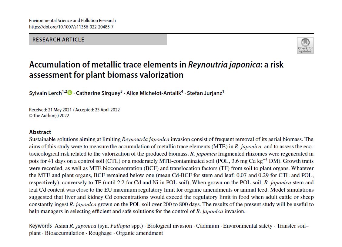 Article 2022 Lerch et al_ETM et renouée